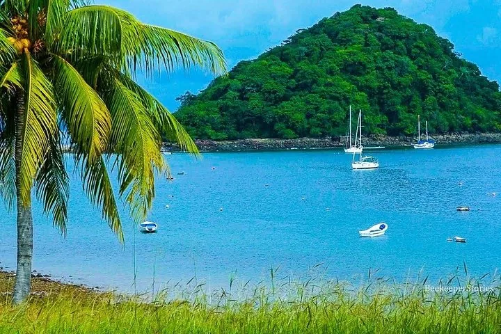 Palm tree on shore with boats anchored in blue water near a green island