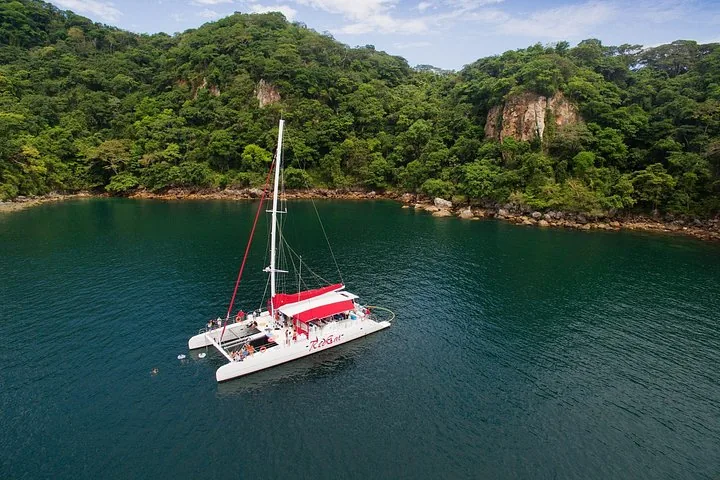 Aerial view of a catamaran anchored near the lush coast of an island